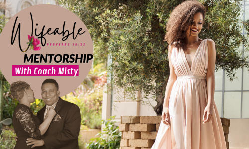 Wife-Able: Navigating Through The Ministry Of Singleness